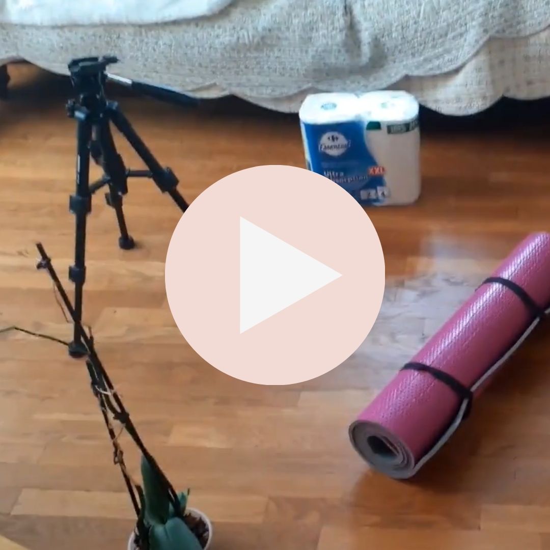 Random objects placed on the floor including a tripod, a plant, some kitchen roll, and a yoga mat, overlayed with a play button to indicate this is a video to watch.